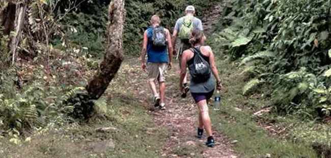 Boquete Hiking Trails