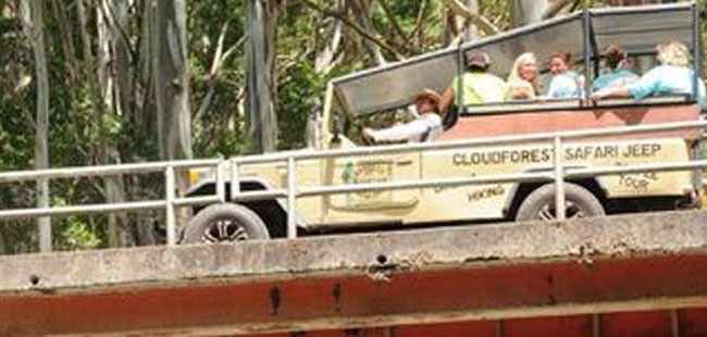 Cloud Forest & Coffee Jeep Safari