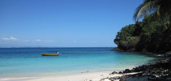 Boquete Cloud Forest Hike + Gulf of Chiriqui Snorkel