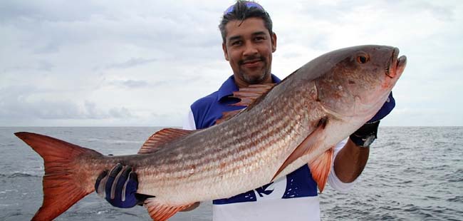 Gulf of Chiriqui Offshore Deep Sea Fishing