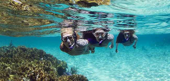 Snorkel and Zip-line Caribbean Adventure