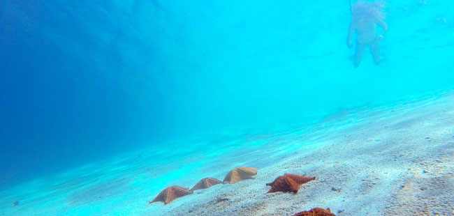 San Blas Islands One Day Explorer