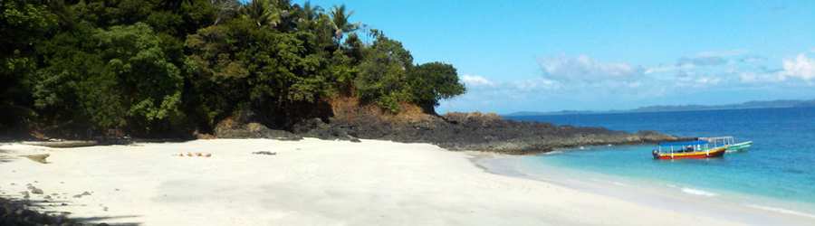 Boquete Cloud Forest Hike + Gulf of Chiriqui Snorkel 1