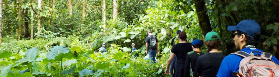 Boquete Cloud Forest Hike + Gulf of Chiriqui Snorkel 2