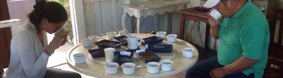 Boquete Coffee Tour 3