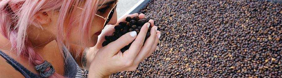 Boquete Coffee Tour 5