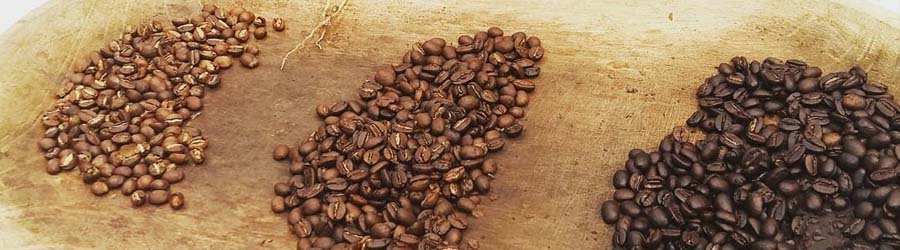 Boquete Coffee Tour 7