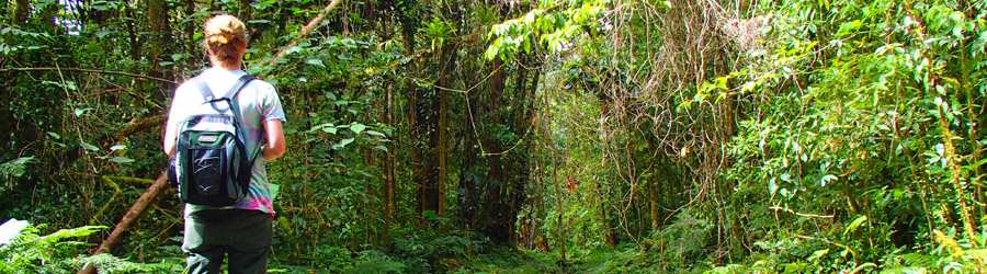 Boquete Hiking Trails 1