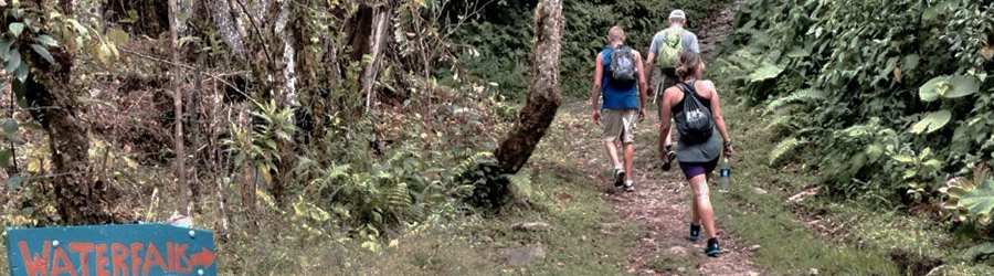 Boquete Hiking Trails 5