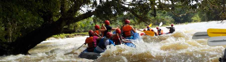 Boquete White Water Rafting + Cangilones Mini-Canyon + Boquete Cloud Forest Hike 4
