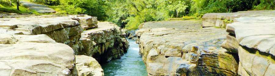 Boquete White Water Rafting + Cangilones Mini-Canyon + Boquete Cloud Forest Hike 5