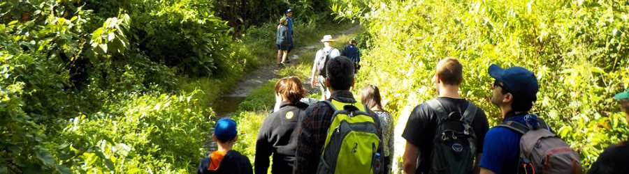 Boquete White Water Rafting & Pipeline Hike 4