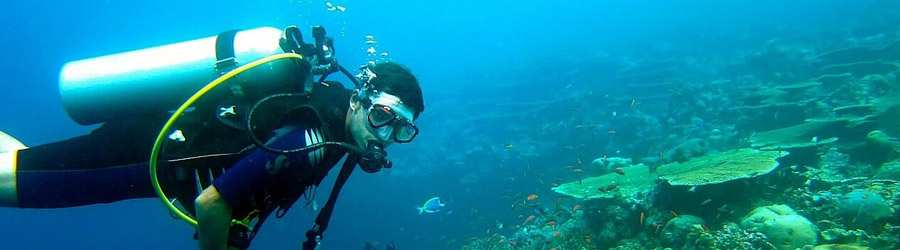 Caribbean Scuba & Private Island 7