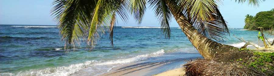 Caribbean Snorkel & Private Island 8