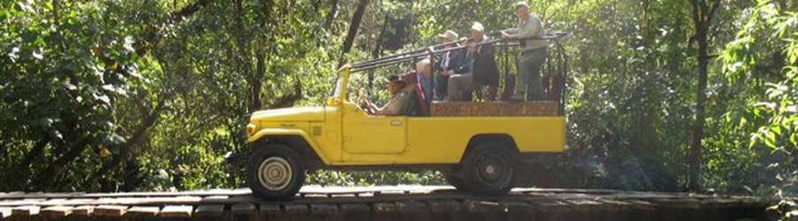 Cloud Forest & Coffee Jeep Safari 1