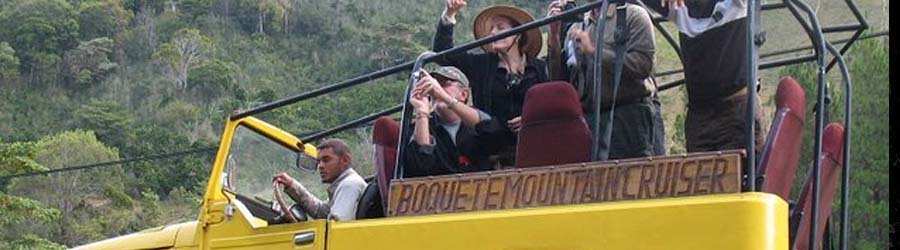 Cloud Forest & Coffee Jeep Safari 2