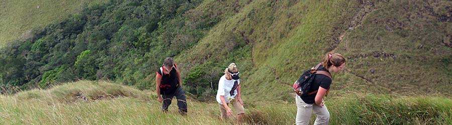 El Valle de Anton Panama Explorer 8