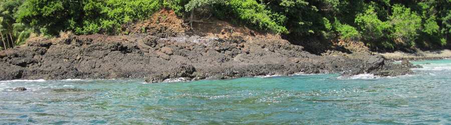 Panama Whale Watching Gulf of Chiriqui + Island Beach Break 4