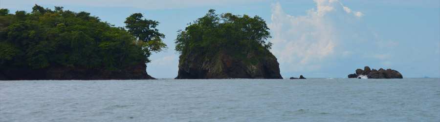 Panama Whale Watching Gulf of Chiriqui + Island Beach Break 7