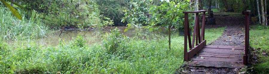 Hiking Metropolitan Natural Park Nature Trails 5