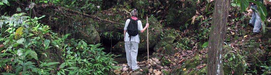 Hiking Metropolitan Natural Park Nature Trails 8