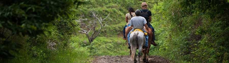 Hot Springs by Horseback Tour 6