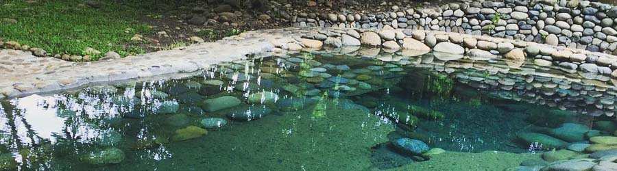 Hot Springs by Horseback Tour 8