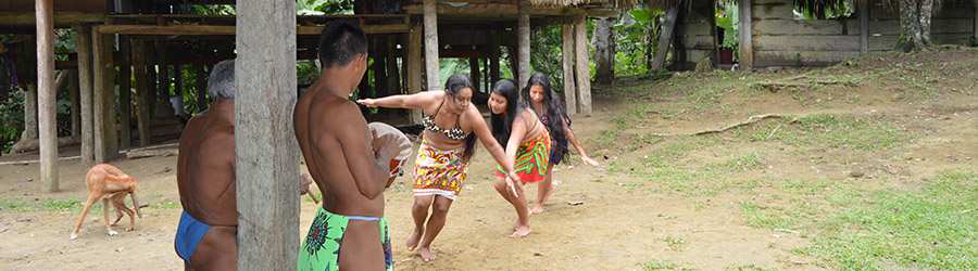 Indian Village Tour 3