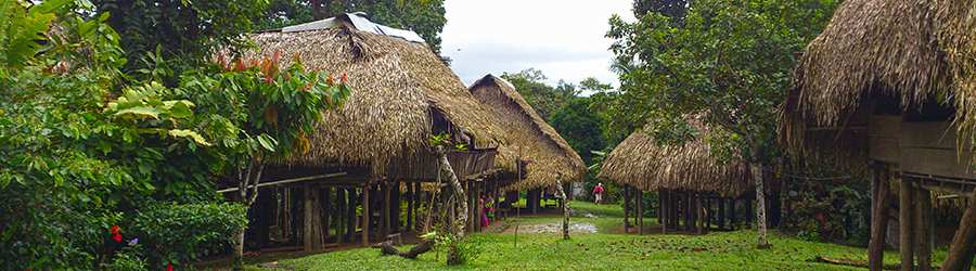 Indian Village Tour 6