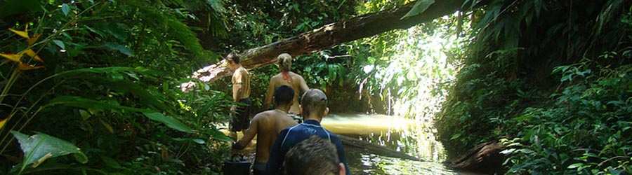 Jungle Land Floating Lodge Panama Canal Tour 8