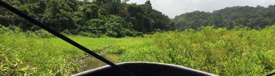 Kayaking Lake Gatun, Panama Canal & Monkey Island 3