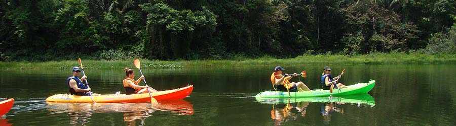 Kayaking Lake Gatun, Panama Canal & Monkey Island 4