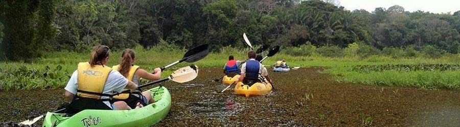 Kayaking Lake Gatun, Panama Canal & Monkey Island 8