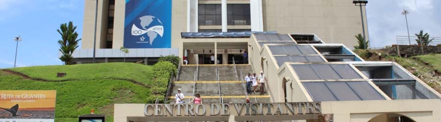 Taboga Island One Day Tour 8