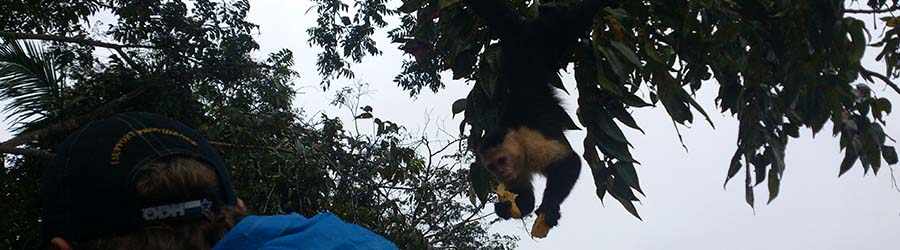 Monkey Island & Indian Village Combo Tour 5