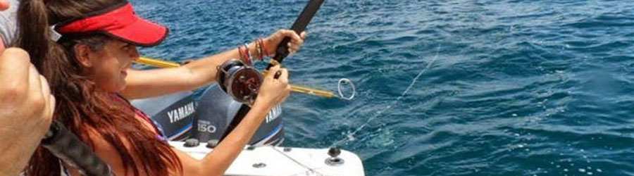 Panama Whale Watching Private Charters 3