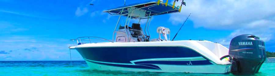 Panama Whale Watching Private Charters 5