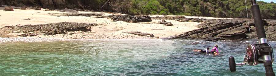 Panama Whale Watching Private Charters 8