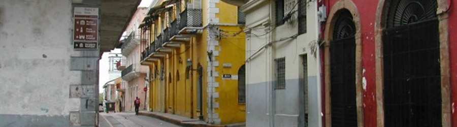 Private Guided Shore Excursions - Panama City 8