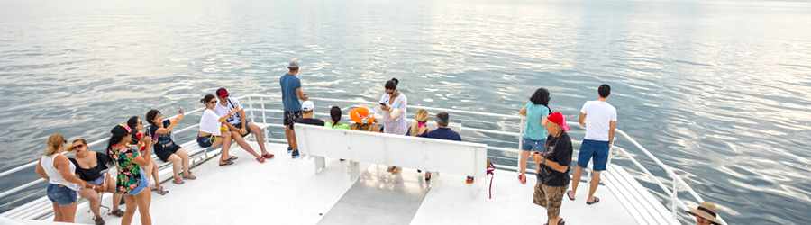 Pearl Islands Sunday Funday Catamaran Cruise & Beach Break 2