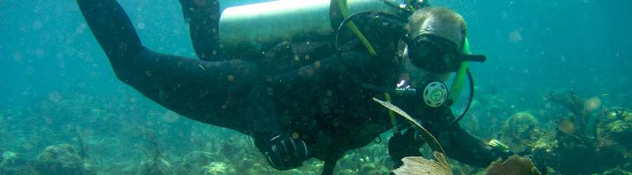 Tiger Rock Scuba Diving - Full Day Excursion 3