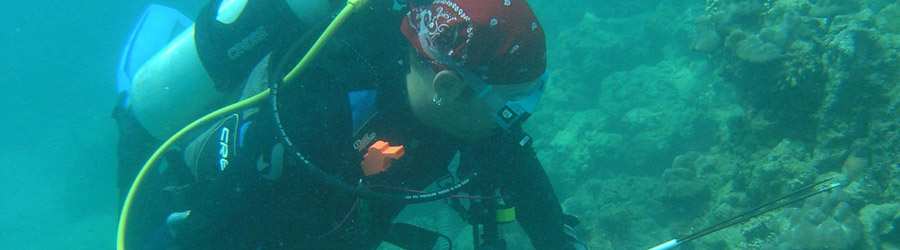 Tiger Rock Scuba Diving - Full Day Excursion 4