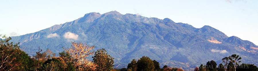 Volcano Baru Jeep Tour 2