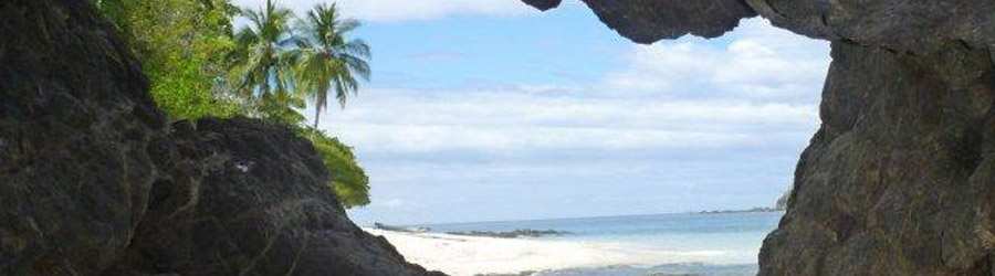 Whale Watching Tour from Contadora Island 4