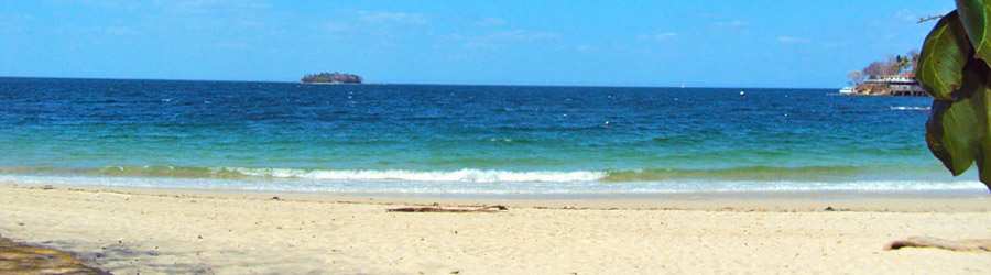 Pearl Islands Panama Whale Watching & Chapera Island Beach Break 3
