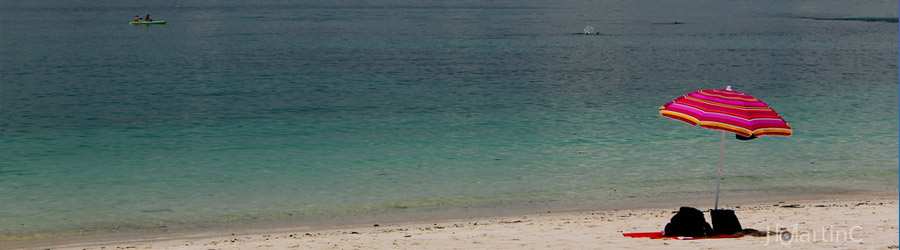 Pearl Islands Panama Whale Watching & Chapera Island Beach Break 4