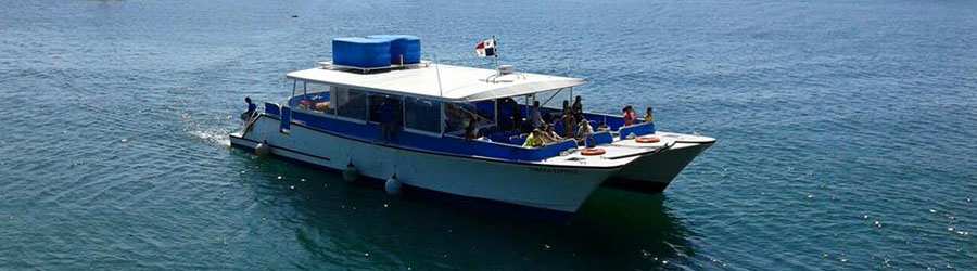 Panama Whale Watching Pearl Islands & Isla Bolaños Beach Break 1
