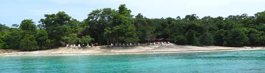 Panama Whale Watching Pearl Islands & Isla Bolaños Beach Break 5