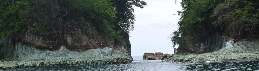 Panama Whale Watching Pearl Islands & Isla Bolaños Beach Break 8