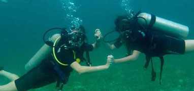 1 Tank Bocas del Toro Dive